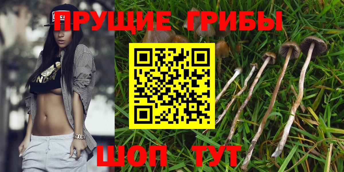 Галлюциногенные грибы Psilocybine cubensis  Псилоцибиновые грибы GOLDEN TEACHER  Корсаков  Вход с VPN 